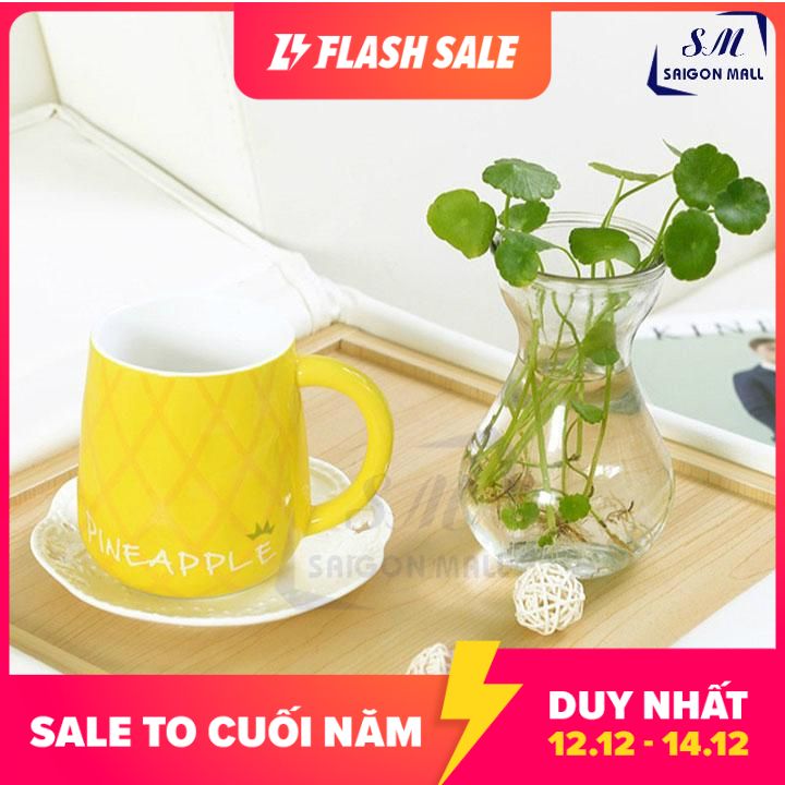 [HCM]COMBO 4 bình trồng cây thủy canh  miệng loe - 4 Bình Tiên Ông + Tặng kèm dây sơ dừa trang trí