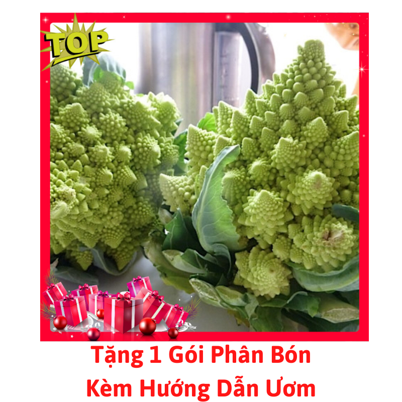 [Lấy mã giảm thêm 30%] Gói Hạt Giống Súp Lơ San Hô