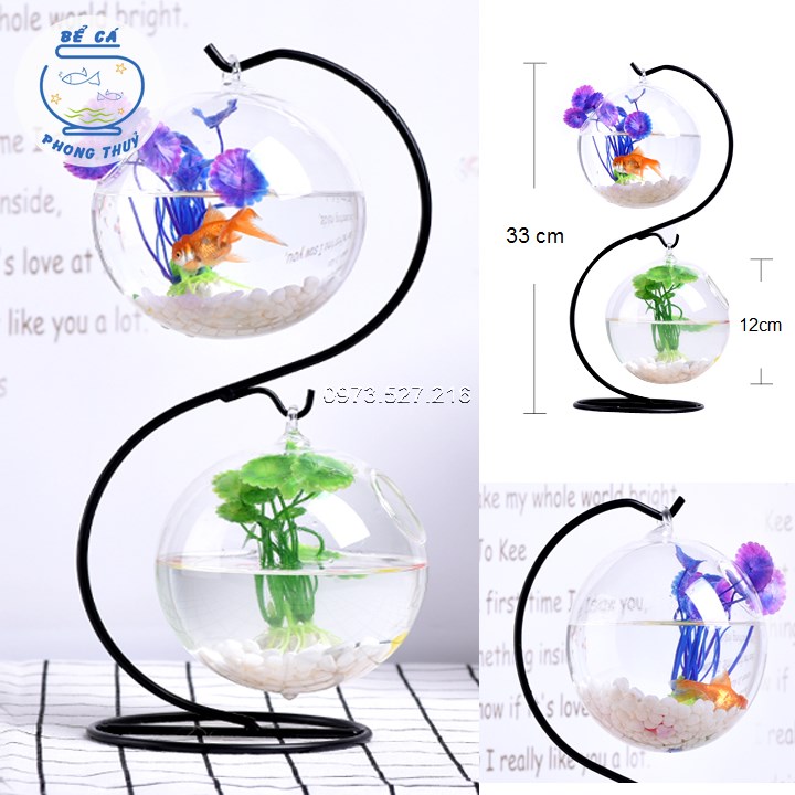 Bể cá mini để bàn hình chữ S mẫu 01