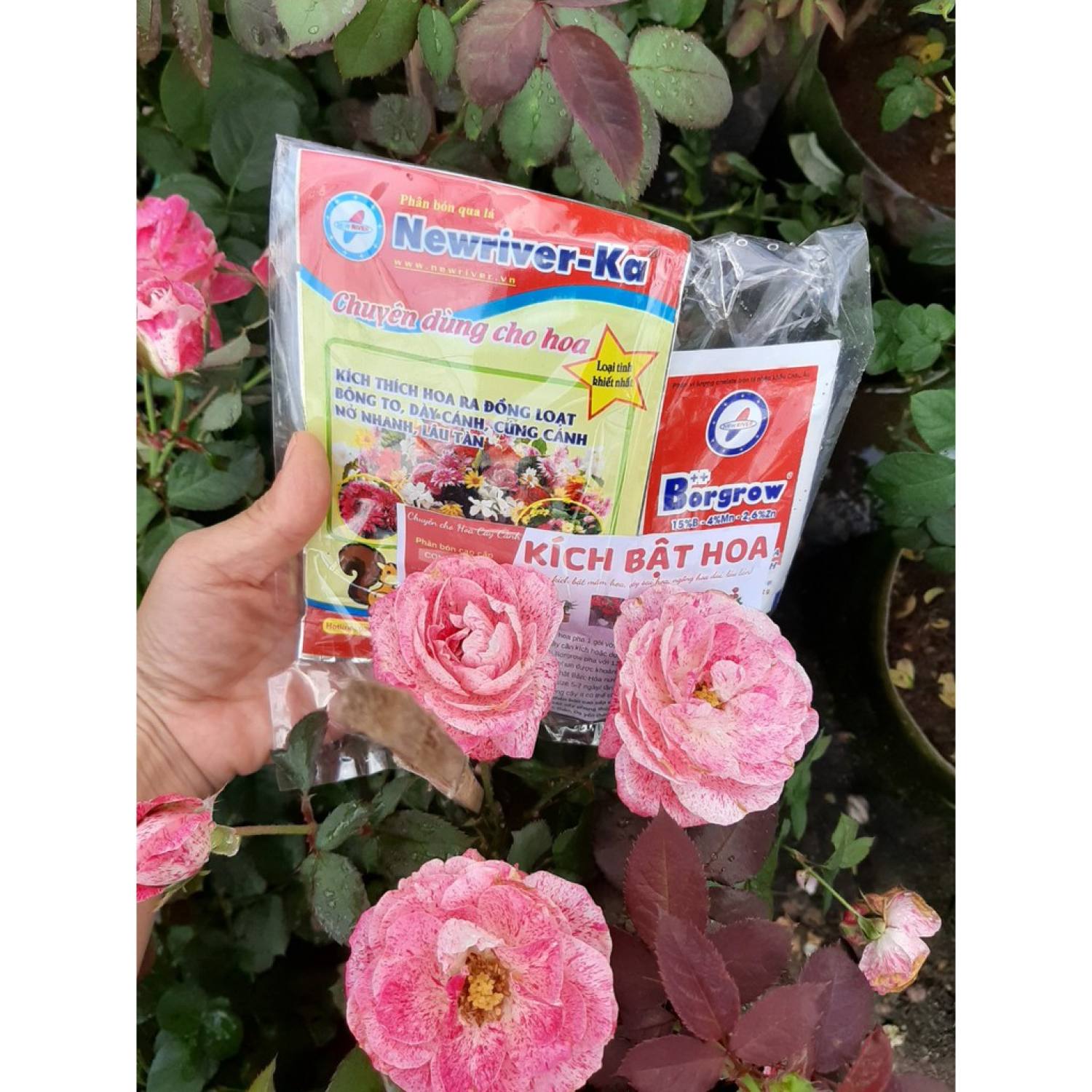 Bộ siêu kích bật hoa