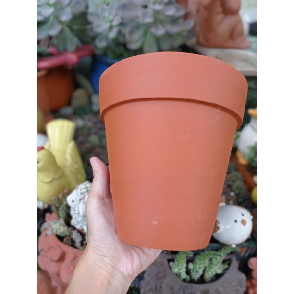 Chậu đất nung Bình Dương ly gờ to miệng 15 x cao 15