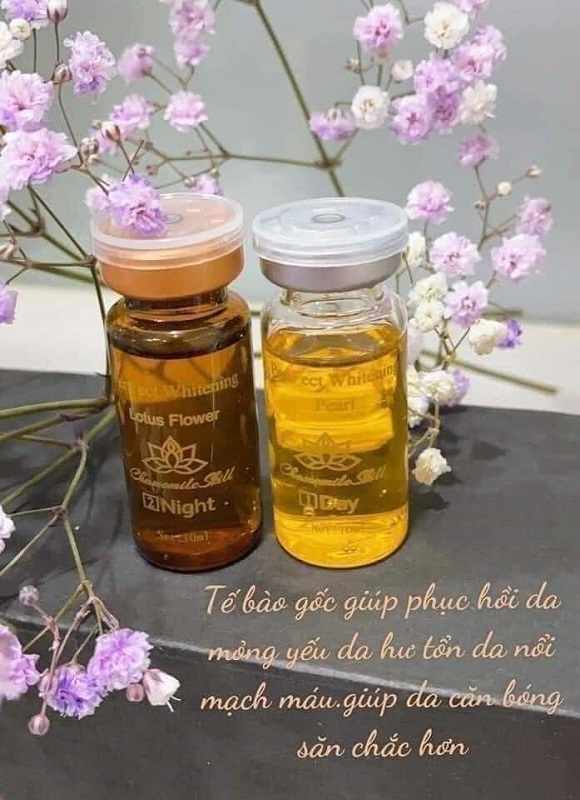 Tế Bào Gốc Phục Hồi Da Hư Tổn