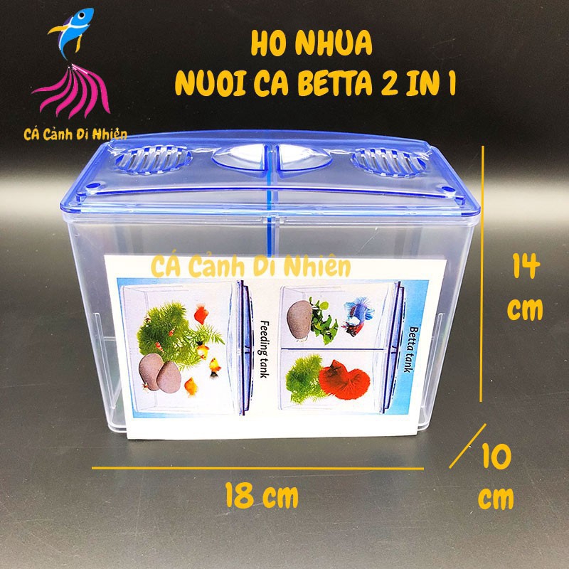 Hồ Nuôi Cá Betta 2 Ngăn Bằng Nhựa (Hàng Công Ty)