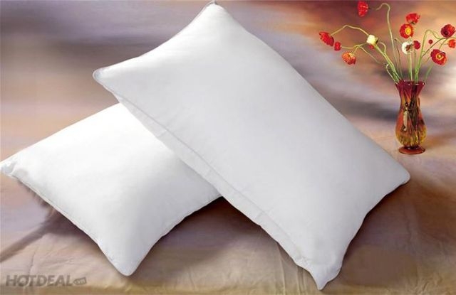 Ruột gối nằm bông trắng combo 2 cái