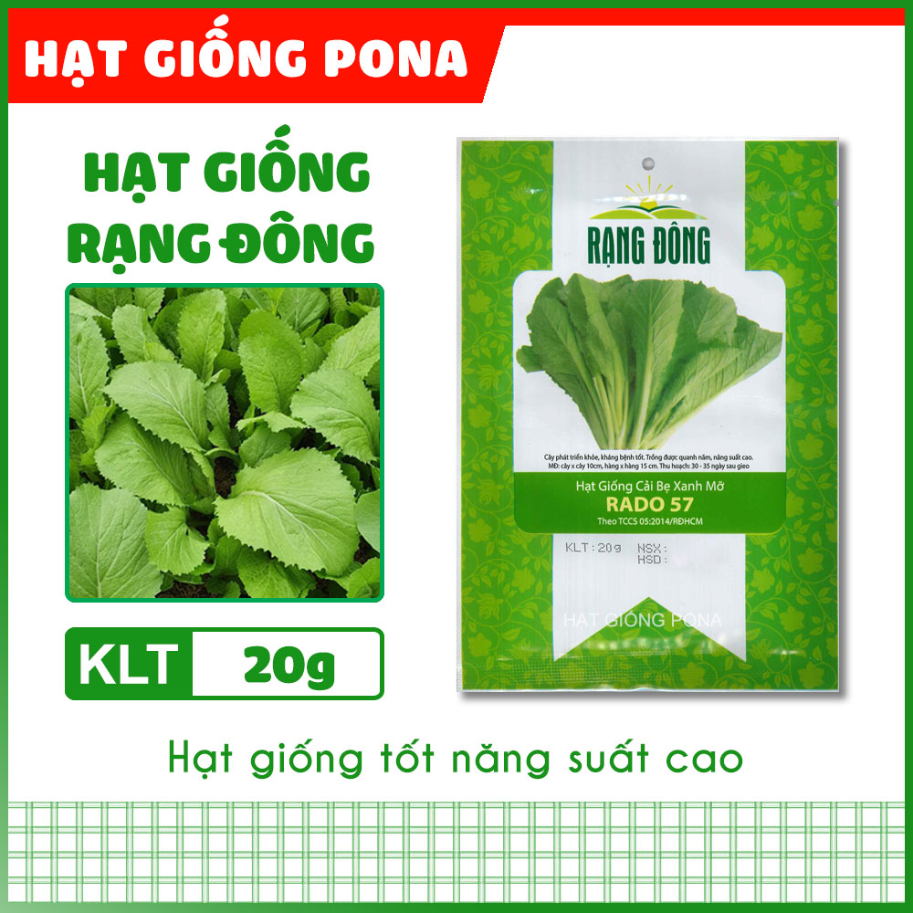 Hạt giống cải bẹ xanh mỡ rado 57 - hạt giống rạng đông