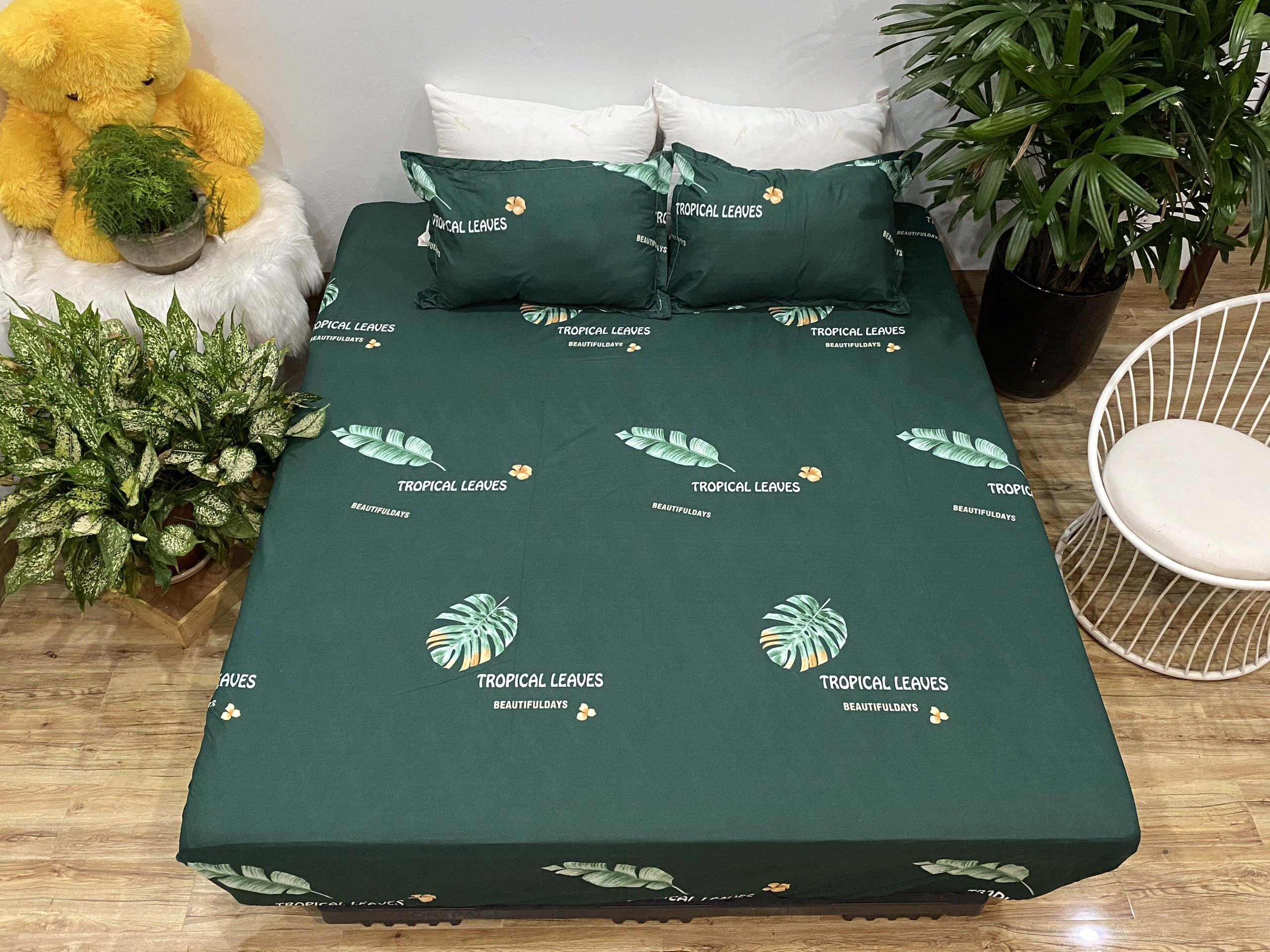 Set Ga Gối 3 Món (Gồm 1 Ga bo chun + 2 Vỏ Gối Nằm) Mẫu Lá Chuối CH219