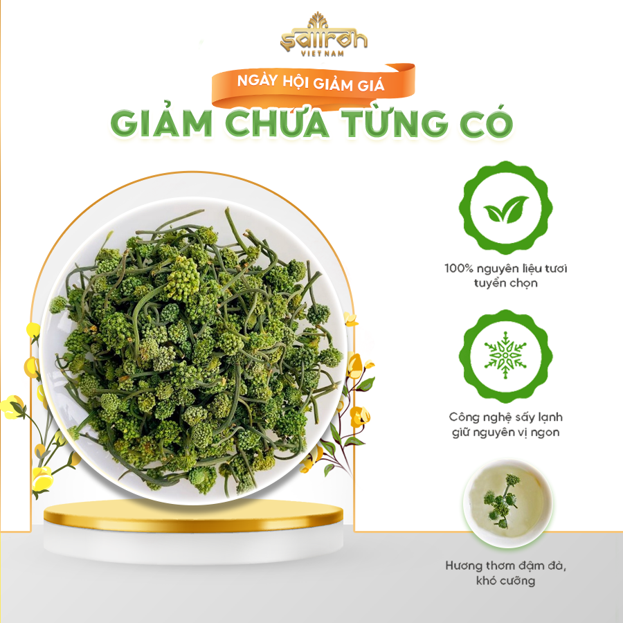 Nụ Hoa Tam Thất Khô thượng hạng Loại Ngon tốt cho sức khoẻ 100g