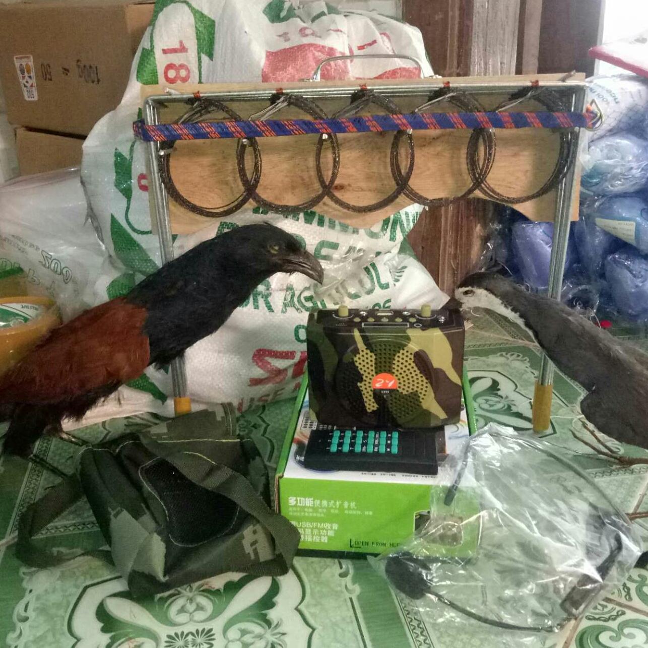 Thòng bẫy đa năng chồn, quốc, bìm bịp, đa đa