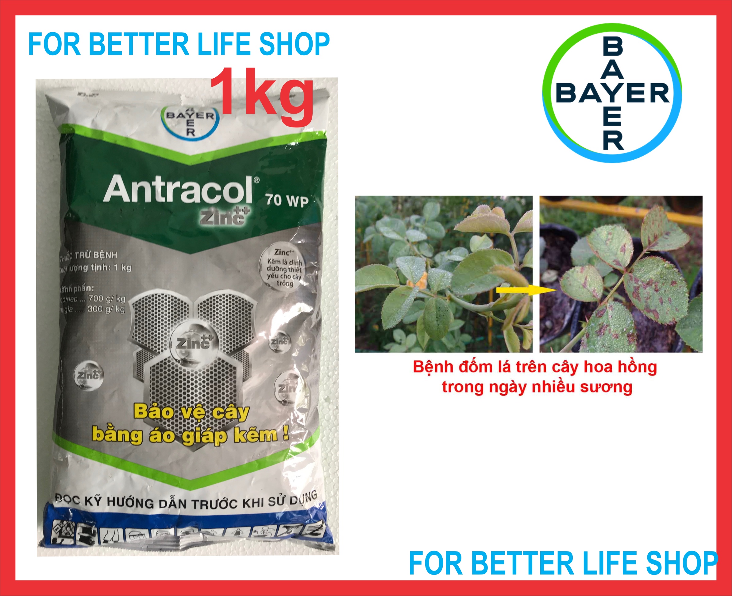 Antracol 70WP túi 1kg trừ Bệnh Thán thư, Đạo Ôn, Đốm lá, Xanh Cây Dày lá