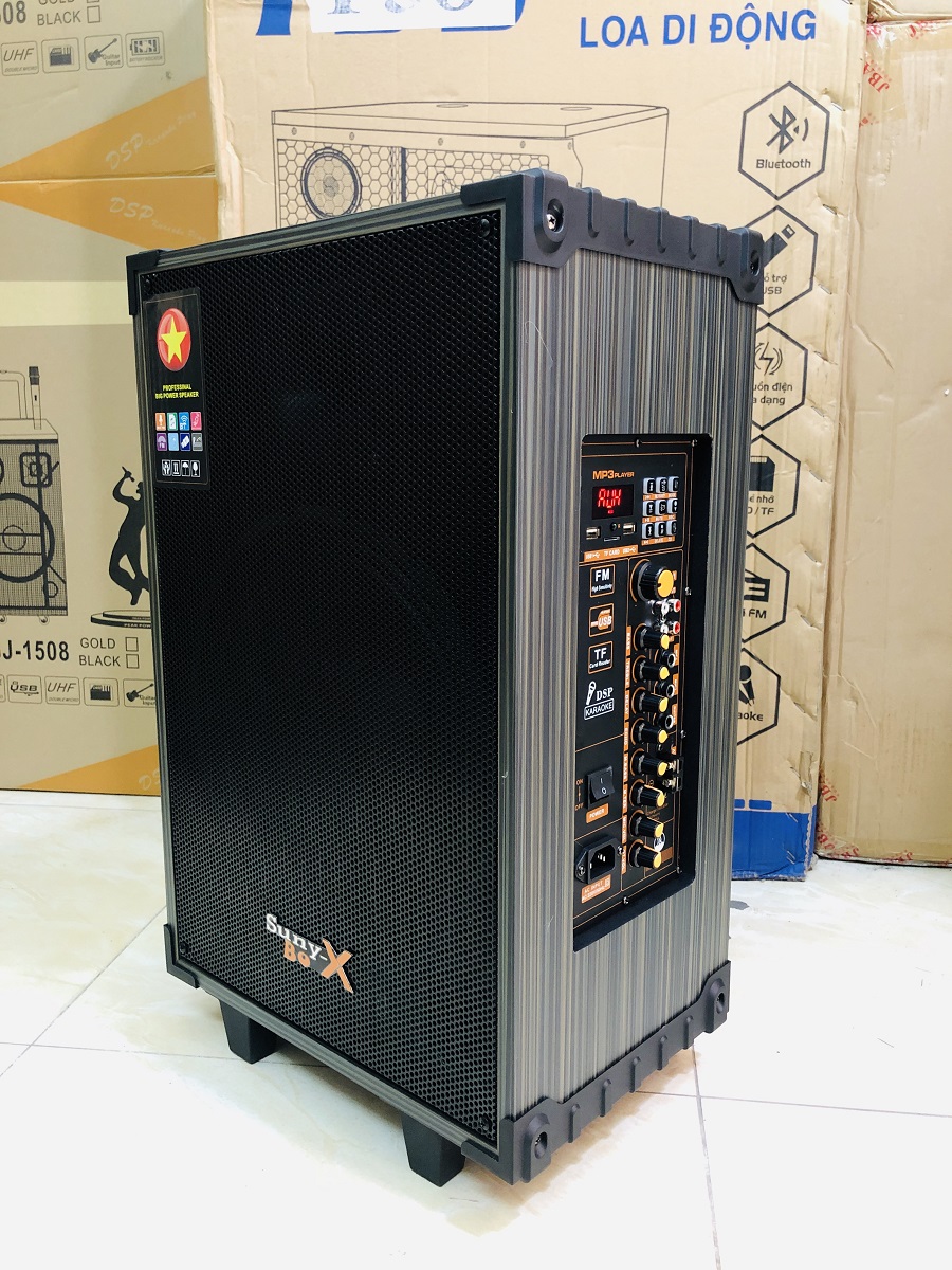 Loa kéo bass 30 vỏ gỗ, 2 micro hút âm, mach delay cao cấp