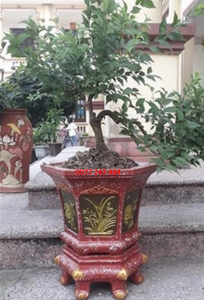 Khuôn đúc chậu cảnh ABS lục giác 31 và chân đôn kỷ