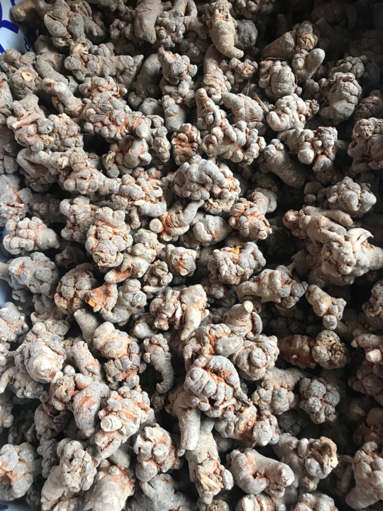 Tam thất bắc khô 1kg