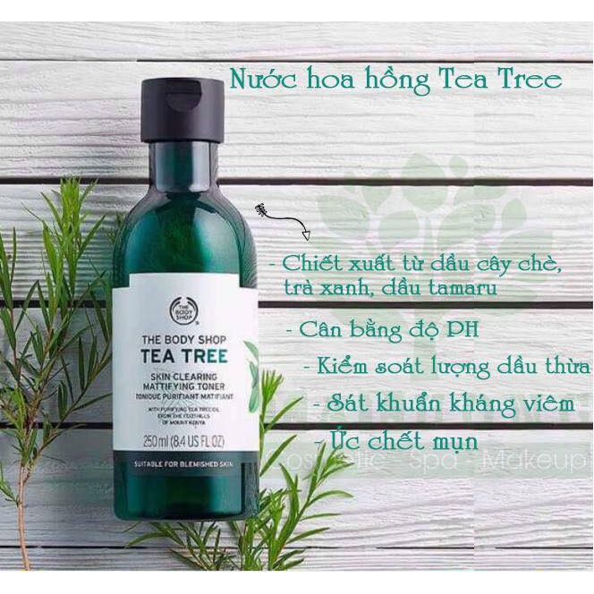 Nước hoa hồng the body shop tea tree mattifying toner 250ml chính hãng - 7624