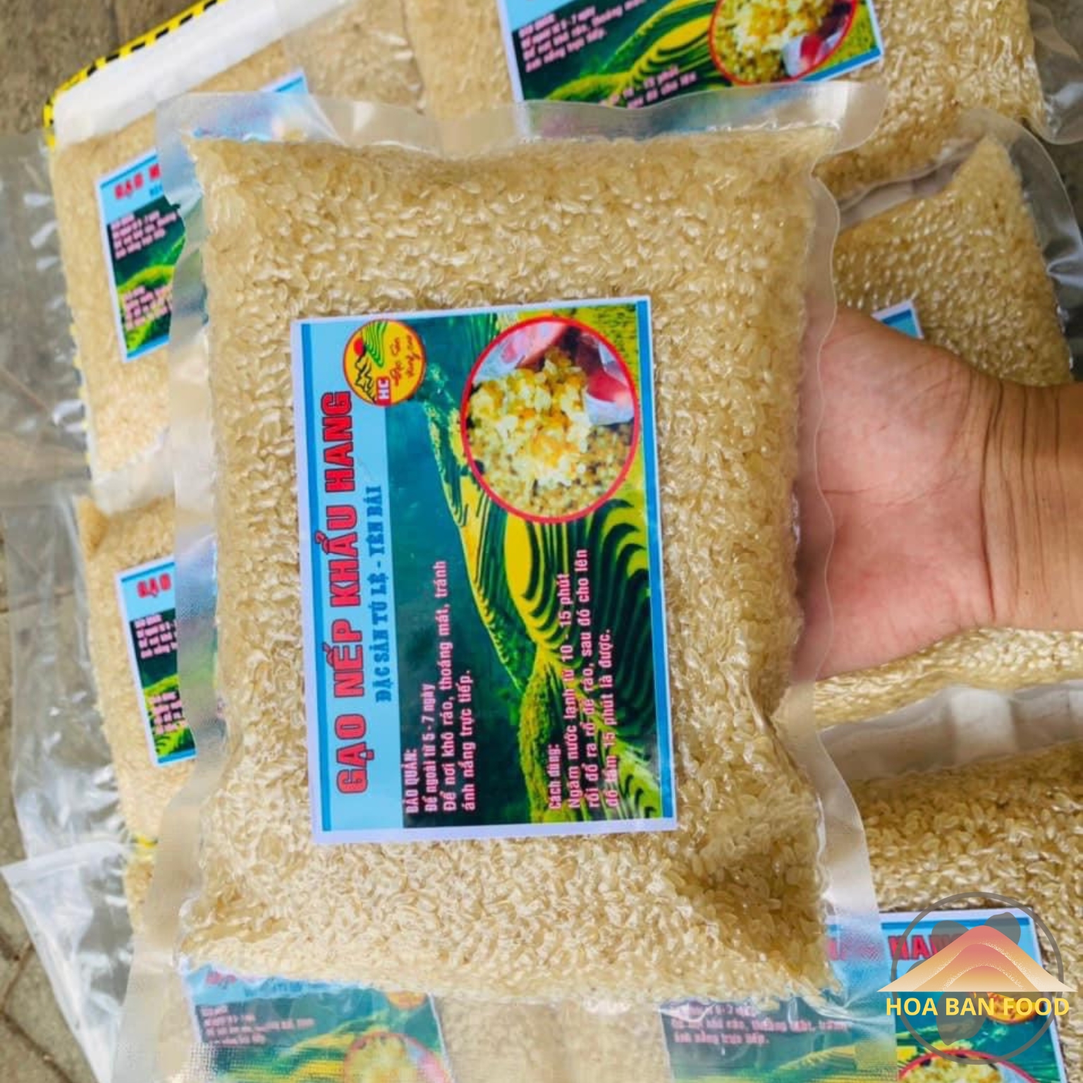 Gạo nếp Khẩu Hang thượng hạng, đặc sản Tú Lệ - Yên Bái . Đặc sản Tây Bắc gạo nếp Tú Lệ, gạo nếp nương Điện Biên