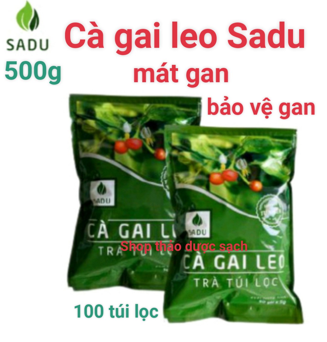 Trà túi lọc cà gai leo sadu 500g-2 bịch gồm 100 túi lọc