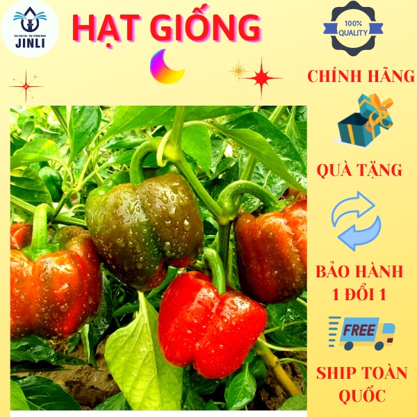 10h - hạt giống ớt chuông jl4