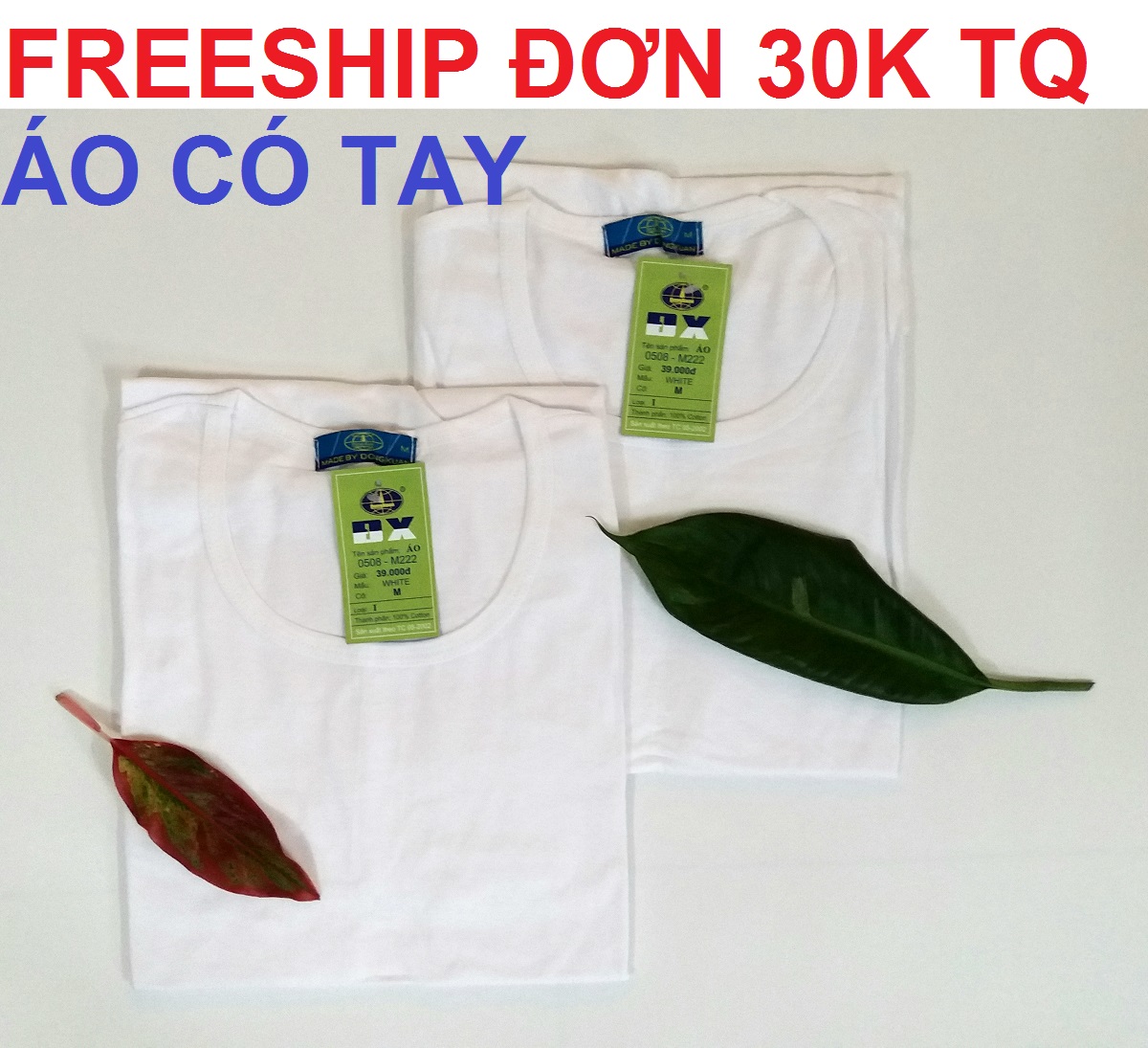 COMBO 2 ÁO LÓT NAM CAO CẤP, ÁO THUN NAM, VẢI 100% COTTON, DỆT KIM NGUYÊN CHIẾC, THOÁNG MÁT, THẤM HÚT MỒ HÔI, HÀNG CÔNG TY ĐÔNG XUÂN (ẢNH THẬT)