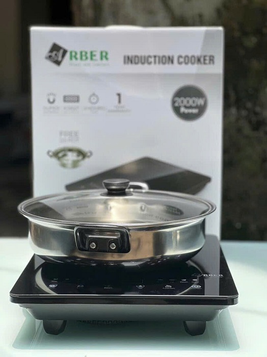 BẾP TỪ ĐƠN ARBER AB301A