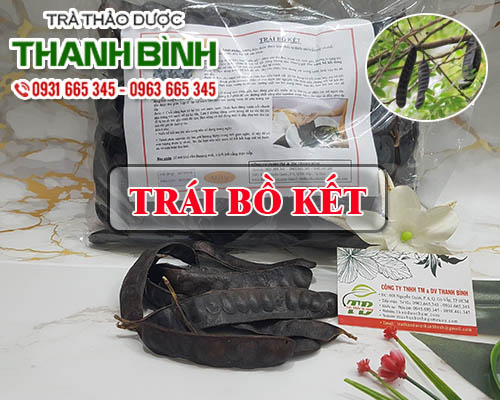 Trái Bồ Kết Khô 500G Loại Đẹp Chất Lượng - Dược Liệu Thanh Bình