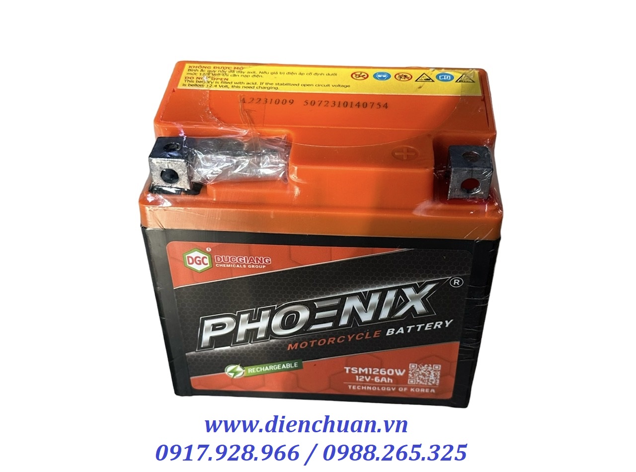 Ắc quy xe máy Honda Lead, Vision, SH125/150cc,SH Mode, PCX,  Air blade Phoenix TSM 1260W (12V 6.0Ah)