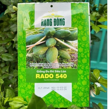 Hạt giống đu đủ siêu lùn rado 540 rạng đông | vtnn cần thơ