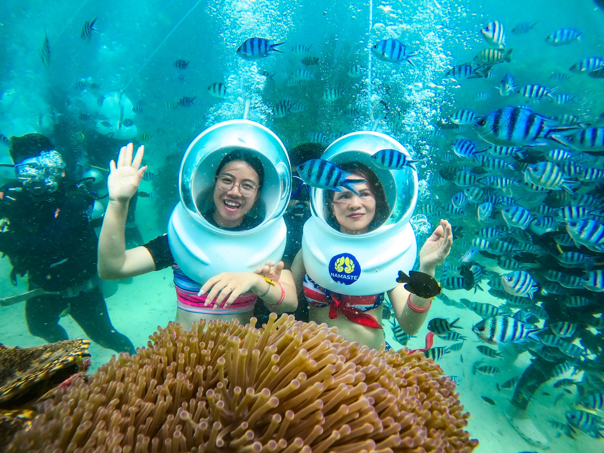 Vé Tour 3 Đảo + Đi Bộ Dưới Đáy Biển Tại Công Viên San Hô Namaste - Phú Quốc