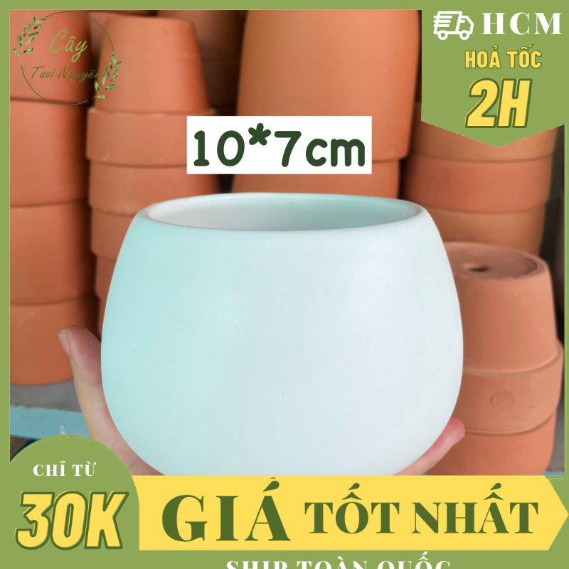Chậu hạt dẻ tráng men trắng 10*7cm , tráng men, chậu cây trong nhà, bền đẹp, cây tươi nguyên ctn1458