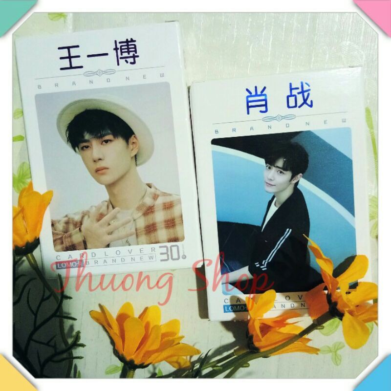 [ Lomo ] Hộp 30 Lomo Ảnh Tiêu Chiến, Vương  Bác.