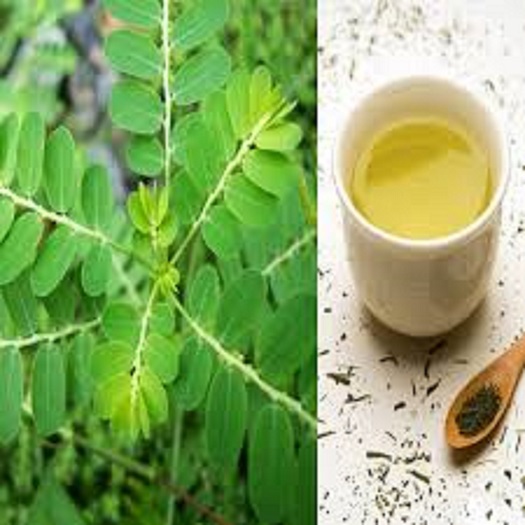 [HCM]sỉ 05kg chó đẻ răng cưa hay Diệp hạ châu khô đánh bay sỏi thận, sỏi mật, làm mát gan, giải độc, hỗ trợ hạ men gan, 100% từ thiên nhiên