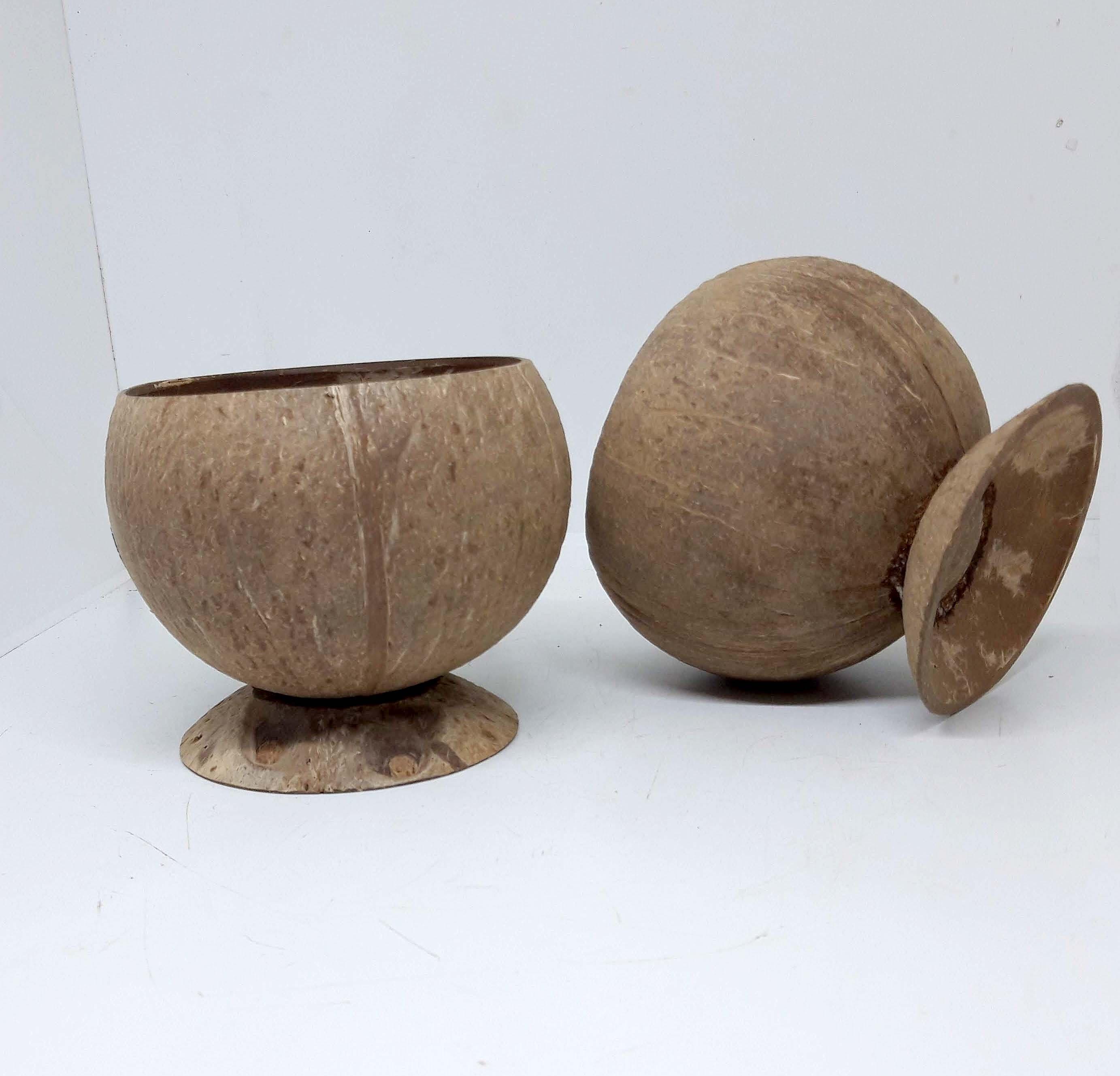 Cốc gáo dừa ăn chè, sinh tố, kem, trái cây| yescoco xưởng