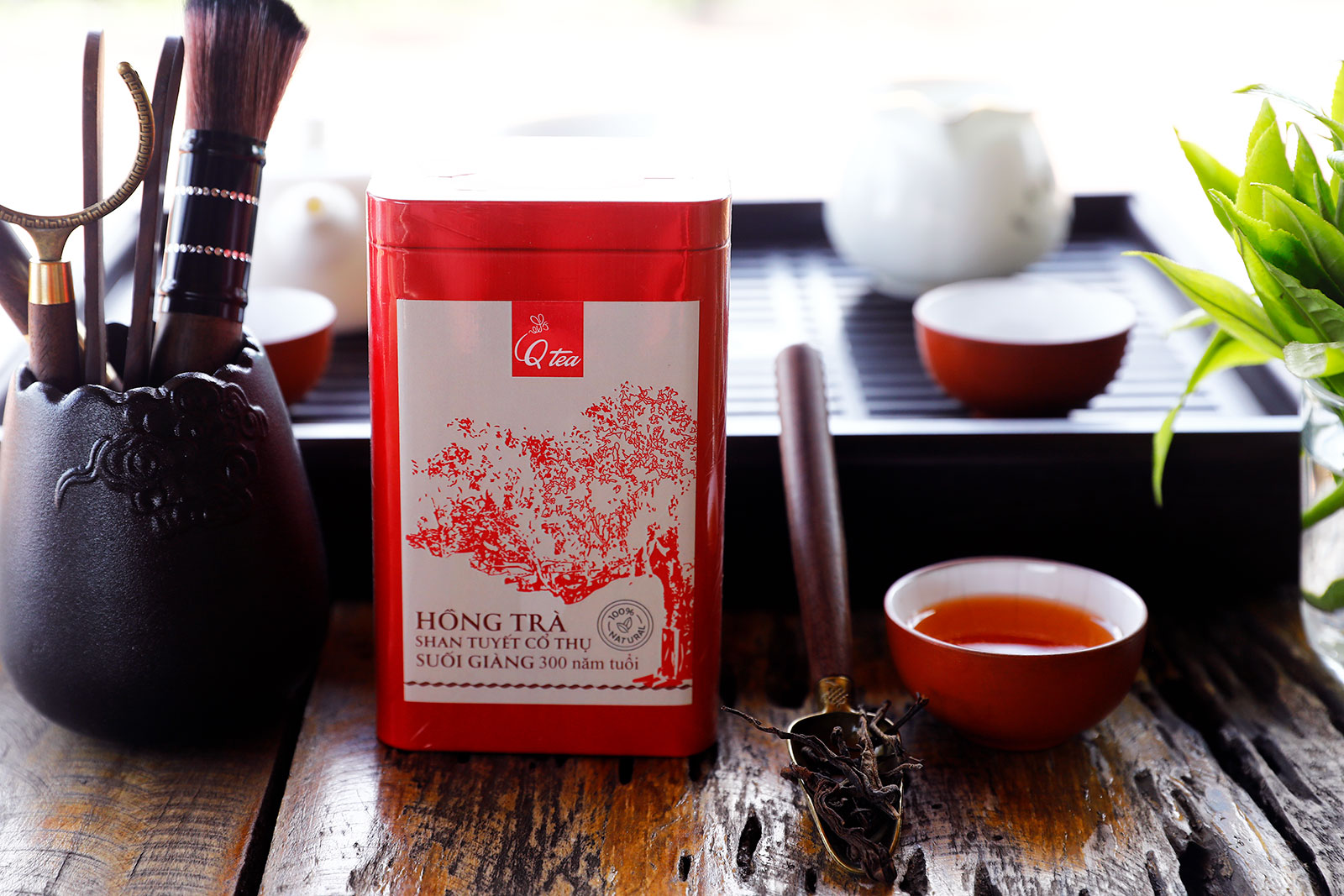 Hồng trà Shan Tuyết cổ thụ Suối Giàng 300 tuổi - Hộp thiếc - Nhãn hiệu Qtea