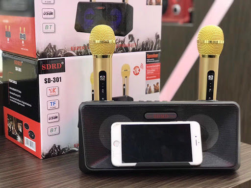 Loa Karaoke Bluetooth SD-301, Loa Karaoke Mini Di Động Công Suất Lớn Kèm 2 Mic Không Dây, Có Giá Đỡ Điện Thoại, Tích Hợp Nhiều Tính Năng, Âm Thanh Vòm 3D Cực Sống Động