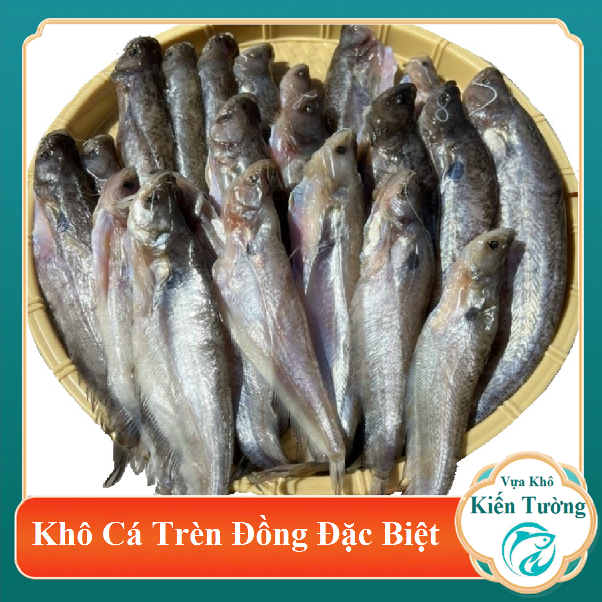 1 kg Khô cá trèn bầu, khô cá kết đặc sản ngon Miền Tây chính gốc-Vựa Khô Kiến Tường Khô cá trèn bầu