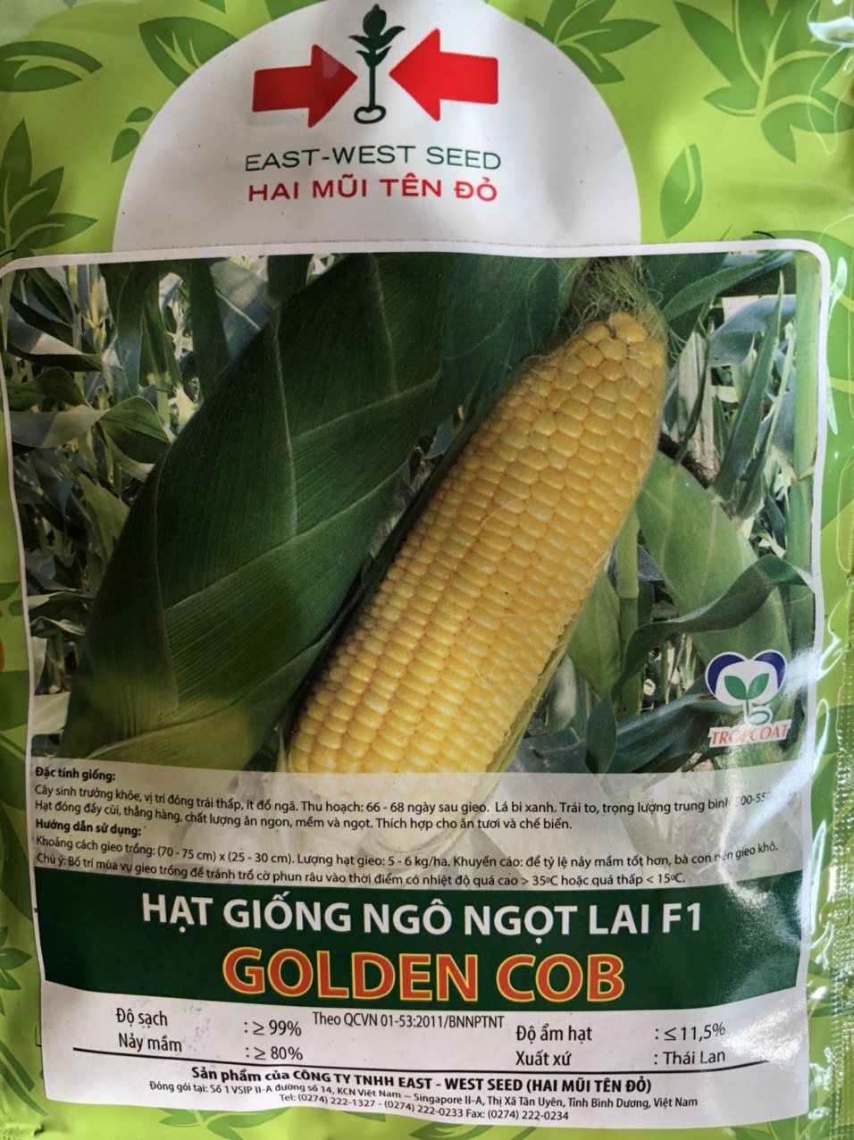 [ GIỐNG MỚI+ QUÀ 5K] Hạt giống NGÔ NGỌT( BẮP NGỌT) LAI F1 GOLDEN COB 2 MŨI TÊN 50 Gam- Nông Nghiệp Xanh