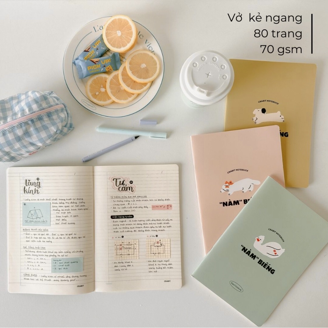 Tập vở ghi chép Nàm Biếng series size B5 kẻ ngang, caro