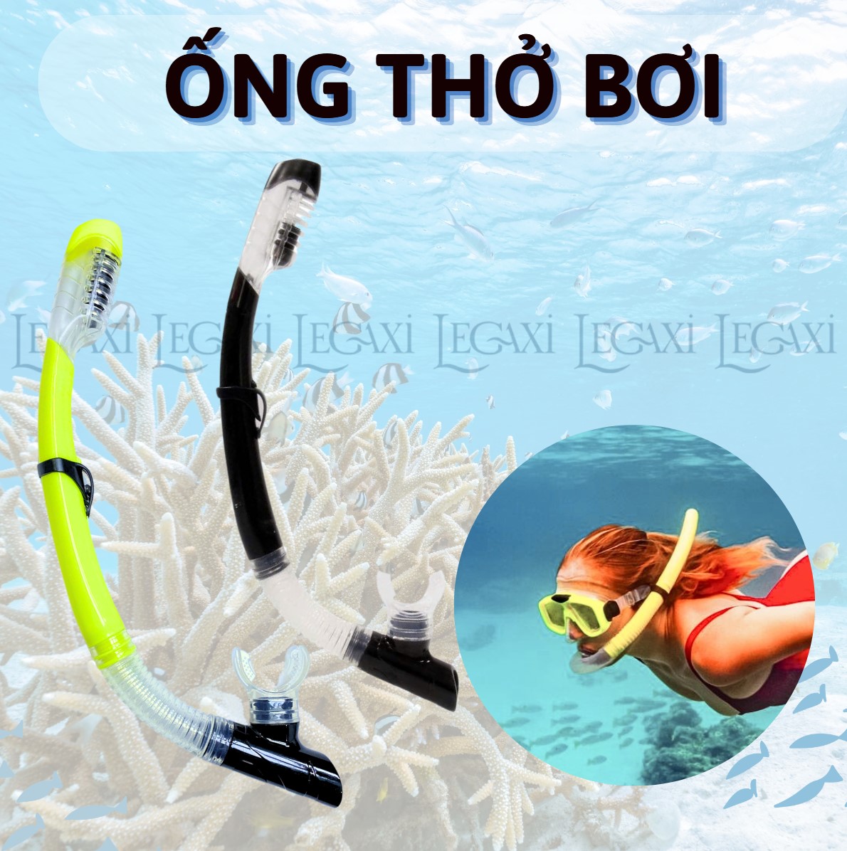 Ống Thở Bơi Lặn Biển Ngắm San Hô Đáy Biển Dã Ngoại Picnic