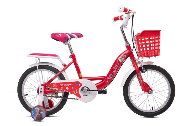 xe đạp thống nhất TE 16-03 cho bé gái