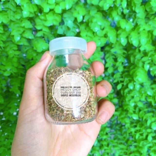 Kinh giới tây Oregano 5gr