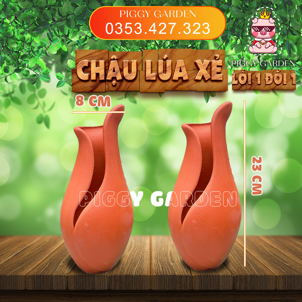 Chậu đất nung - Chậu trồng sen đá, xương rồng - Chậu lúa xẻ miệng 8cm, cao 23cm