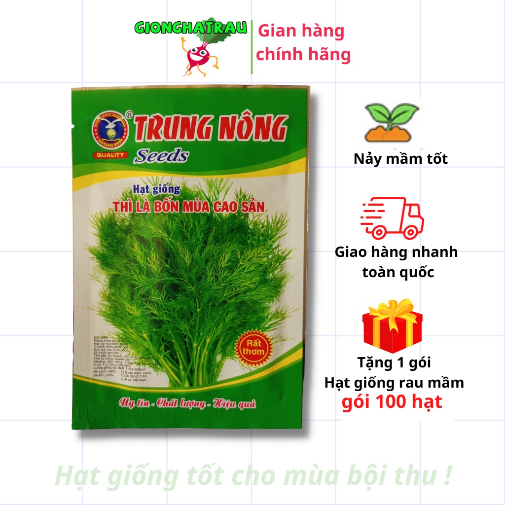 Hạt giống thì là hạt giống rau thơm GIONGHATRAU sinh trưởng khỏe gói 20gr