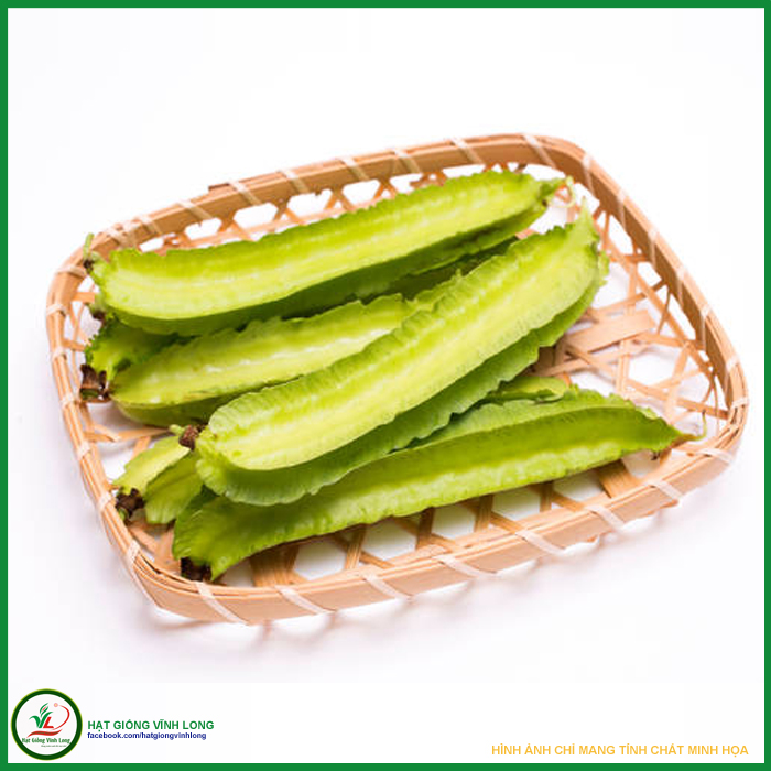 Hạt giống Đậu rồng RD 754 - 10g