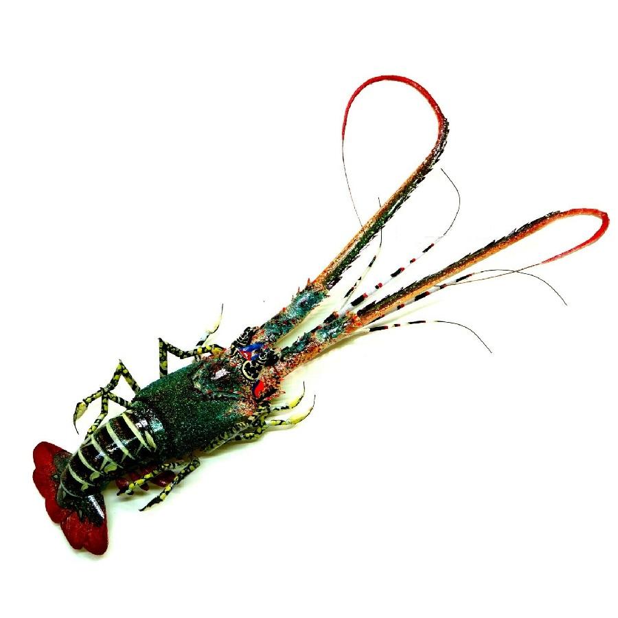 TÔM HÙM TRE MỸ NGHỆ