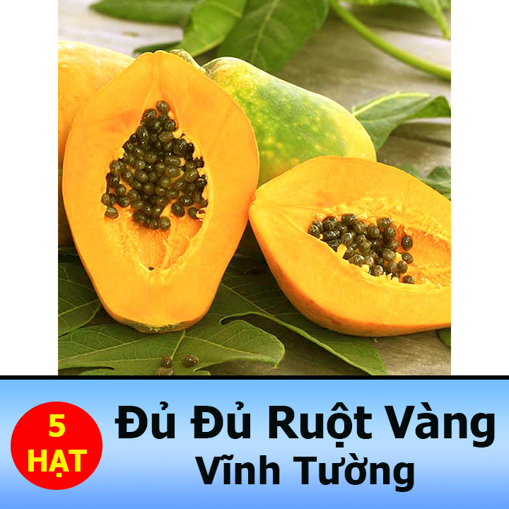 Hạt Giống Đu Đủ Lùn Ruột Vàng Gói 5 Hạt Siêu Ngọt
