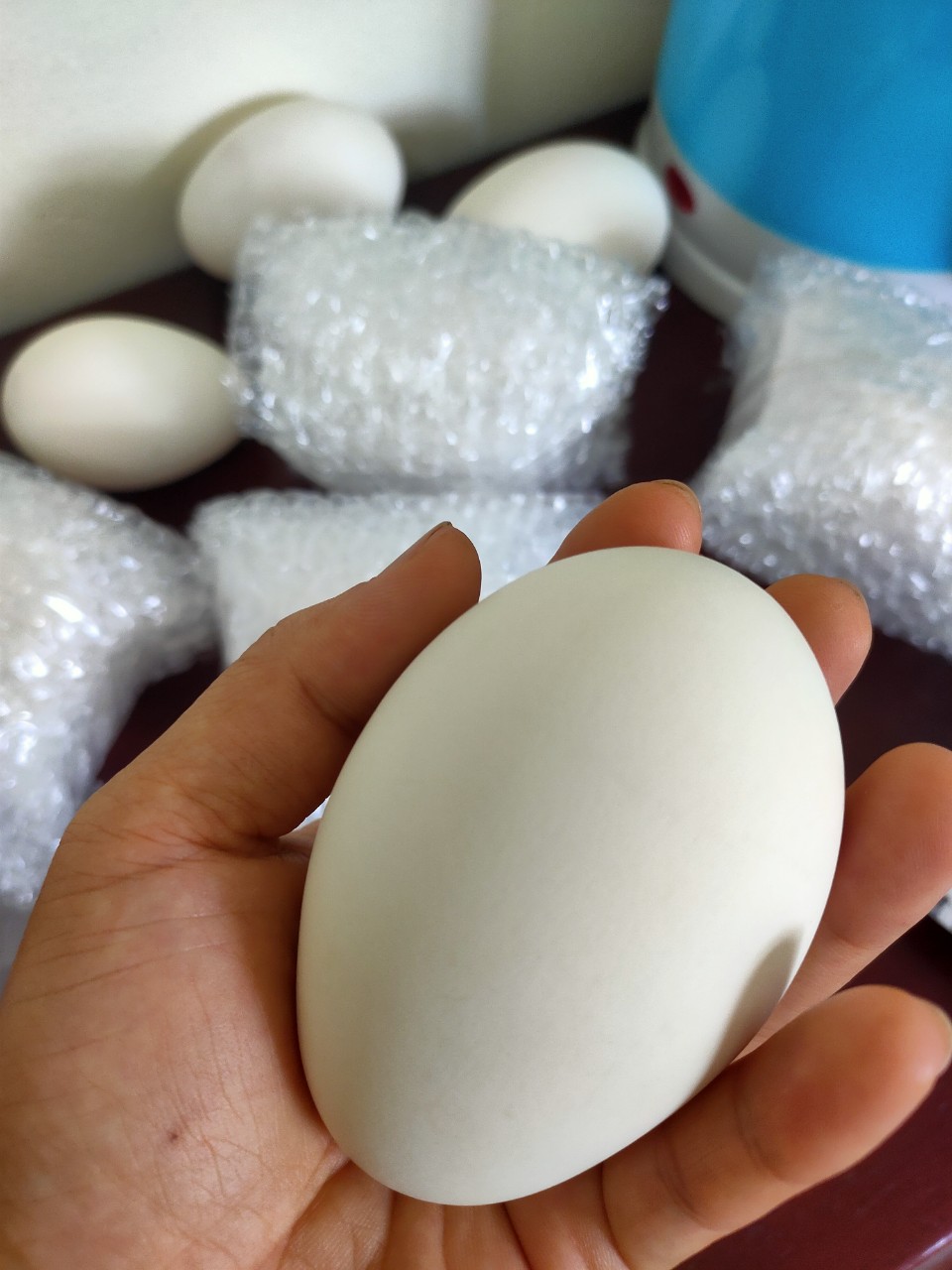 Trứng ngỗng nhà nuôi sạch 100% đảm bảo cho người sử dụng