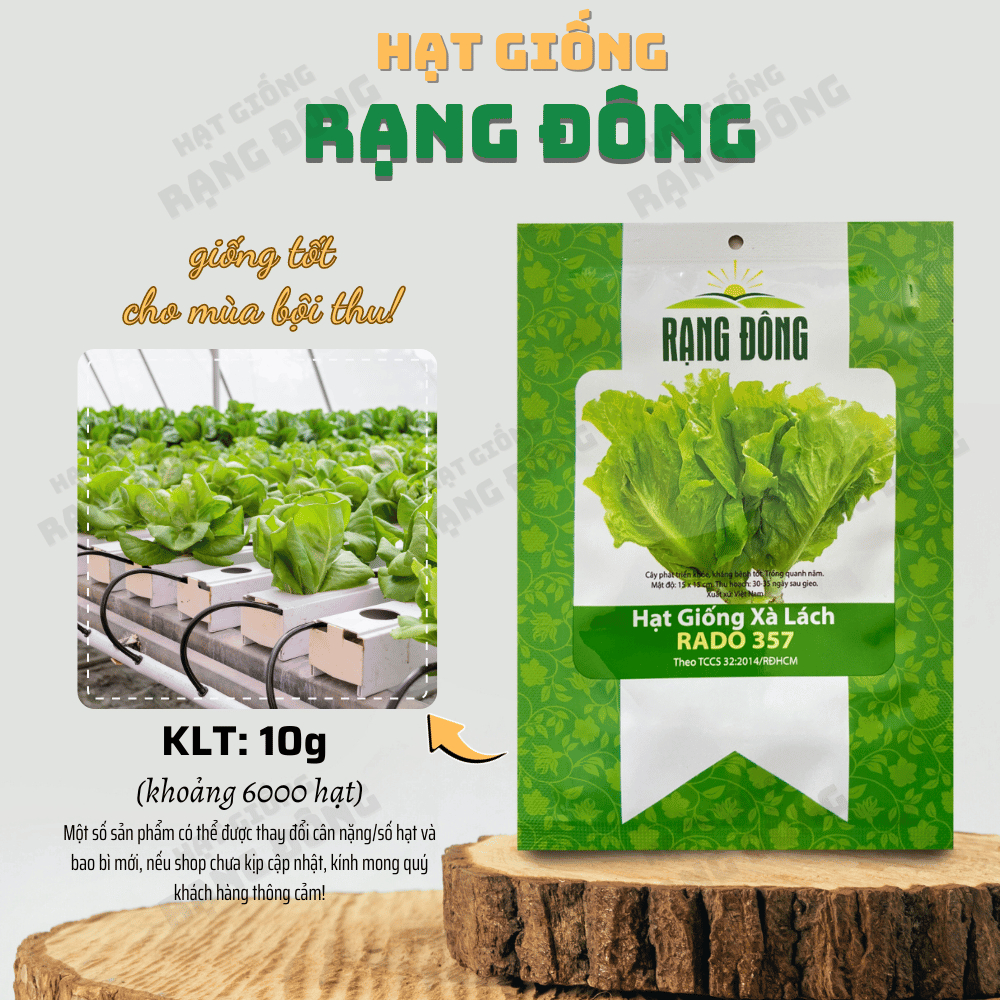 Hạt giống Xà Lách Rado 357 giống Xà Lách Dún trồng quanh năm, nhanh thu hoạch - Hạt giống Rạng Đông