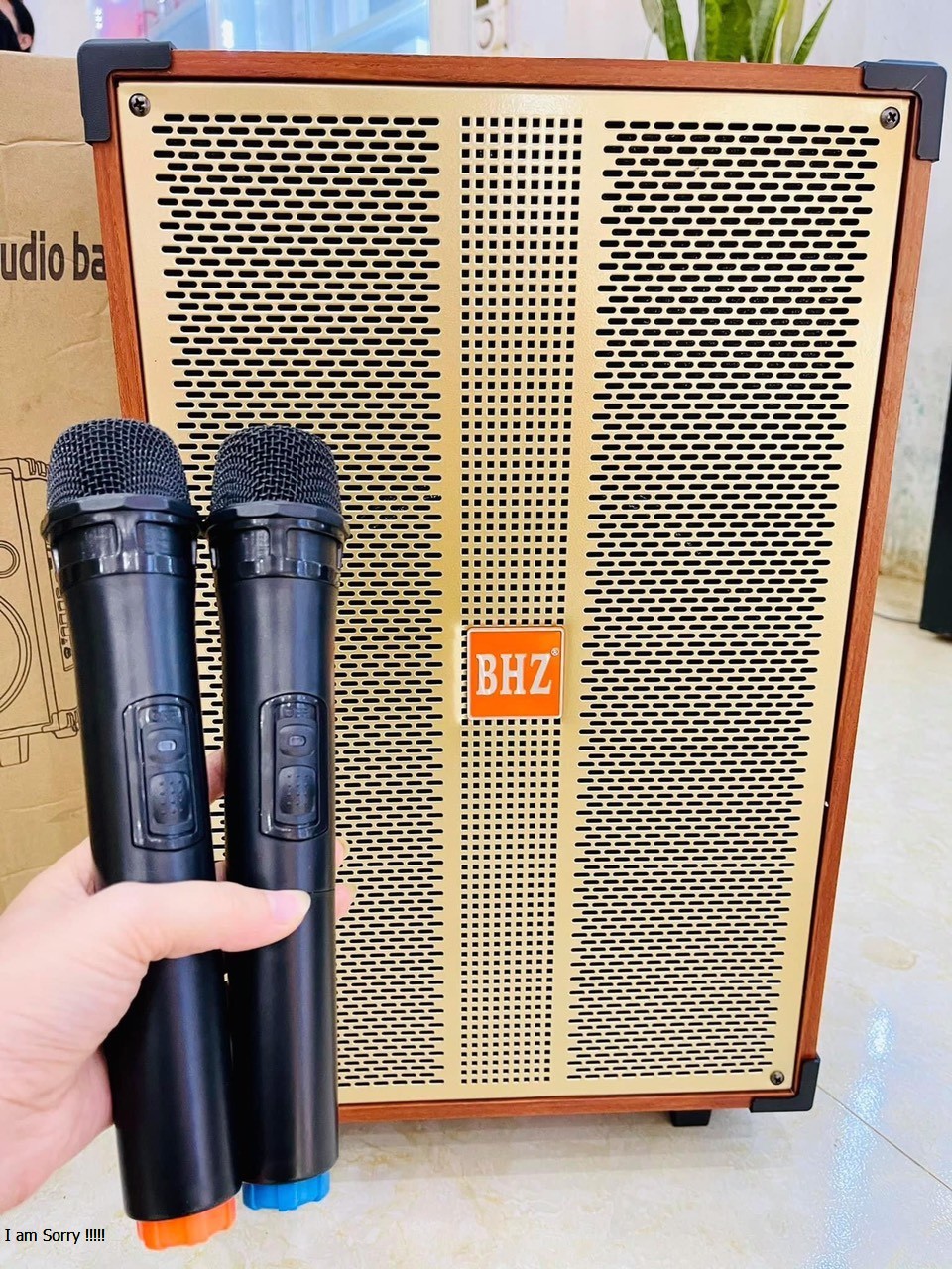 Loa karaoke giá rẻ, loa karaoke di động, loa kéo karaoke tặng kèm 2 micro không dây hát hay, giá rẻ