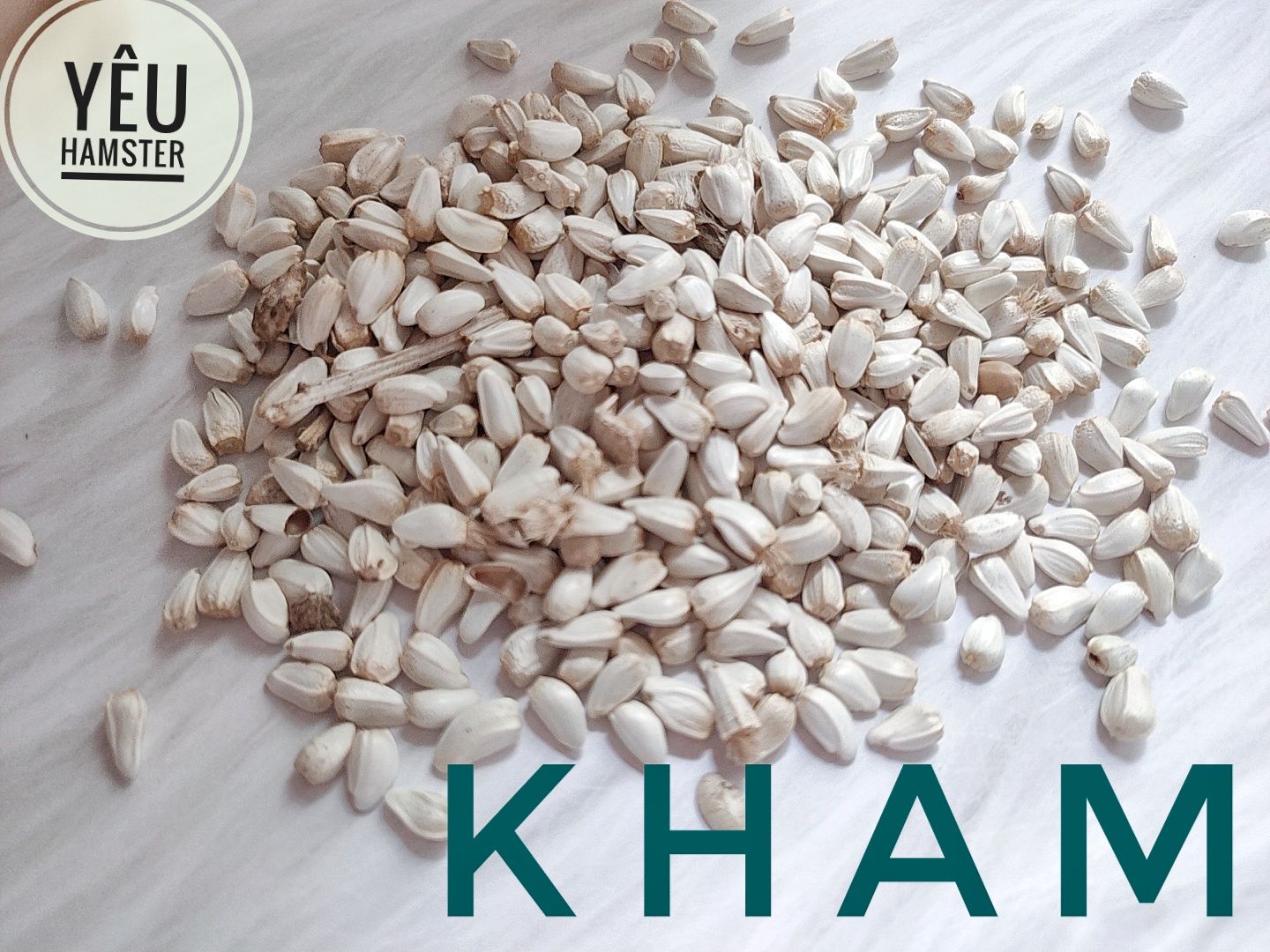 Hạt Kham - Thức ăn cho hamster, sóc, gặm nhấm,thú cưng (100GR)