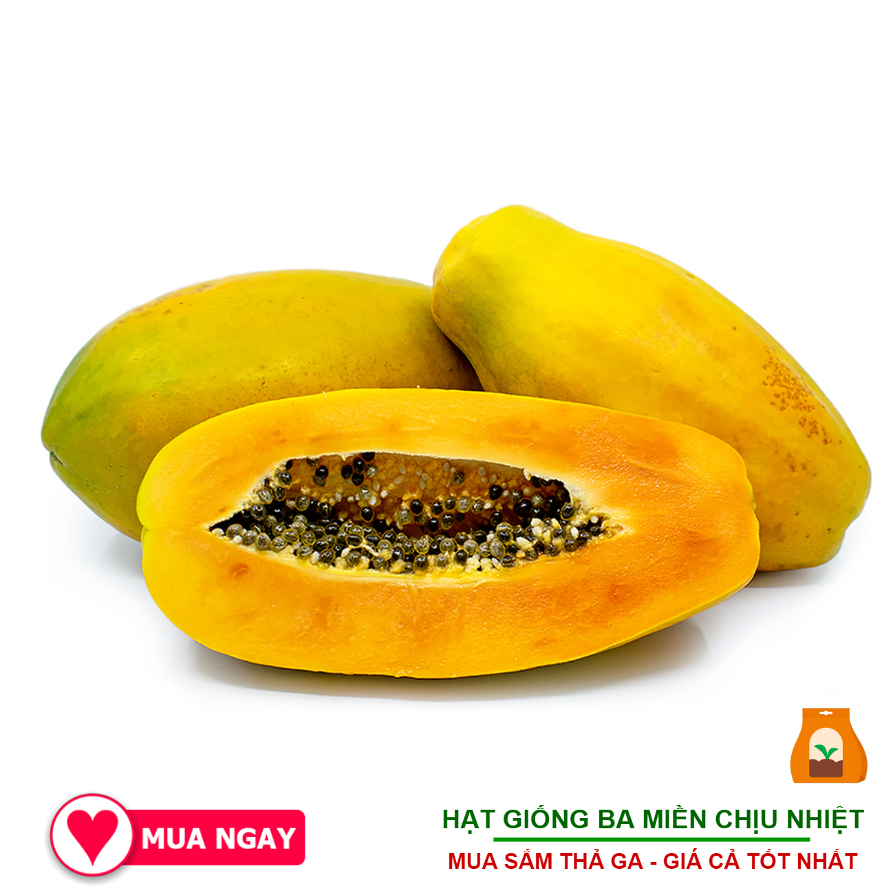 10 Hạt Giống Đu Đủ Ruột Vàng F1 Vĩnh Tường