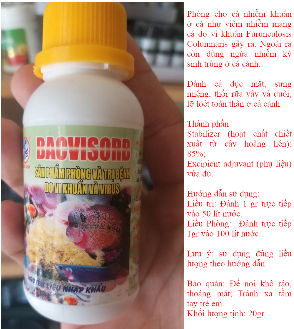 BACVISORB - phòng cho cá cảnh bị virut, vi khuẩn