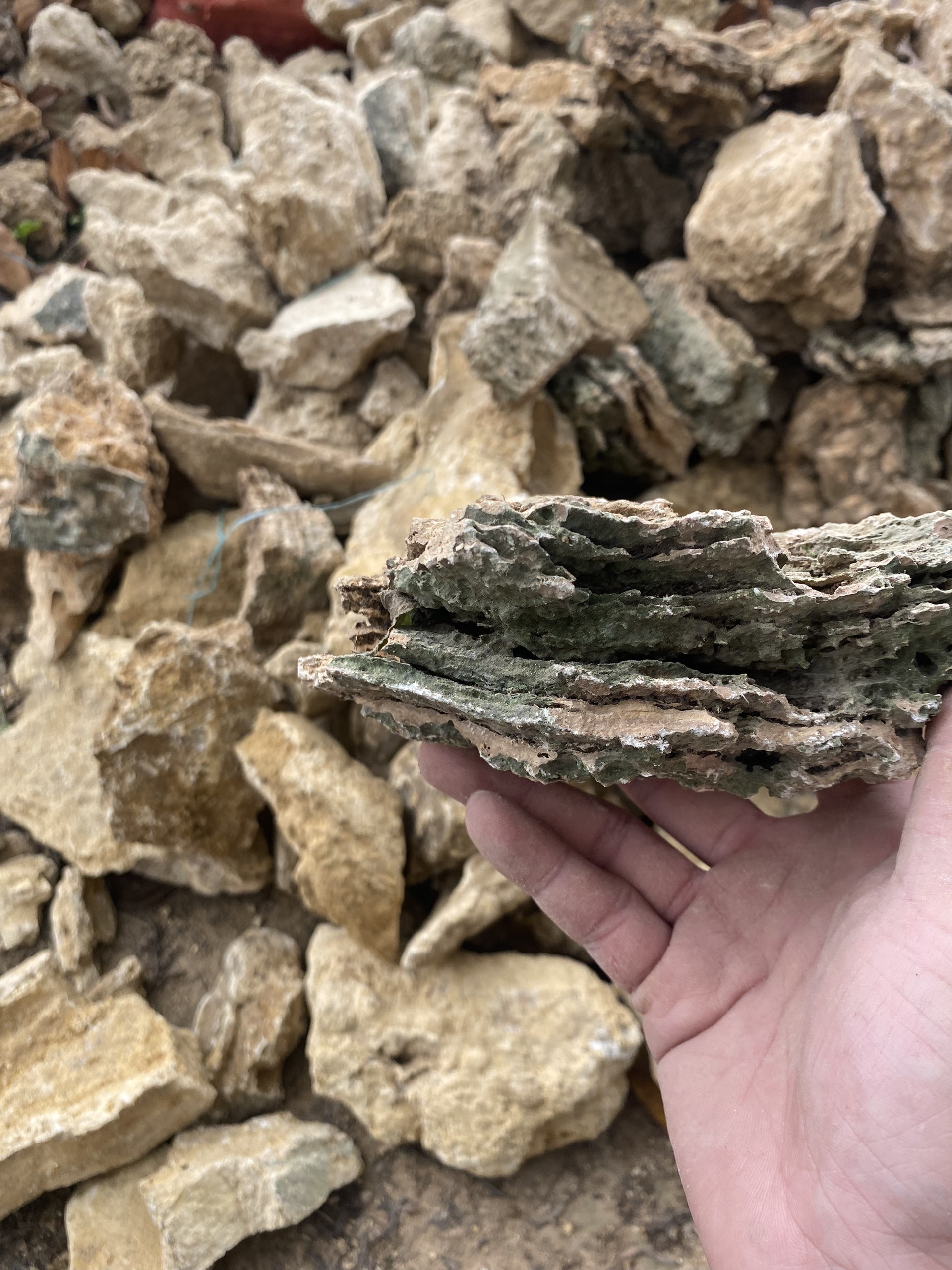 Đá kim đà tai mèo 1kg, đá trí bể cá, tiểu cảnh, thuỷ sinh, sân vườn, non bộ